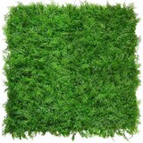 Greenmoods Kunstig Bregne/Tuja Plantevegg 50x50cm UV Greenmoods Kunstig Bregne/Tuja Plantevegg 50x50cm UV