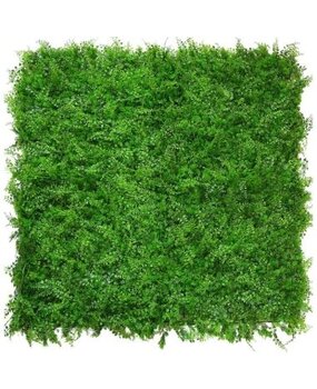 Greenmoods Kunstig Bregne/Tuja Plantevegg 50x50cm UV Greenmoods Kunstig Bregne/Tuja Plantevegg 50x50cm UV