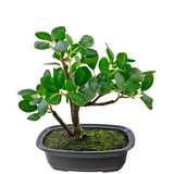 Greenmoods Kunstig Bonsai Fikus 20cm Greenmoods Kunstig Bonsai Fikus 20cm