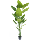 Greenmoods Kunstig Strelitzia Real Touch 240cm