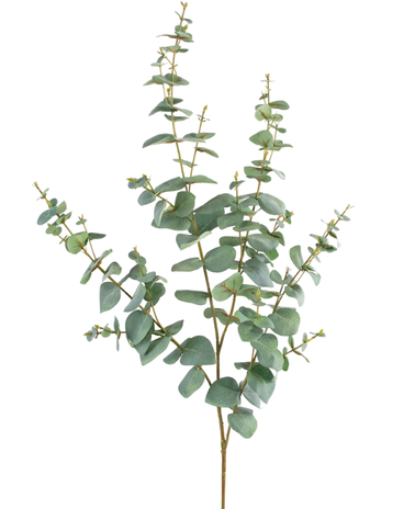 Greenmoods Kunstig Eucalyptus 120cm
