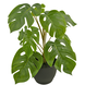 Greenmoods Kunstig Monstera 40 cm