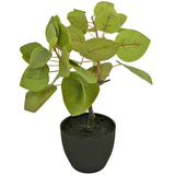 Greenmoods Kunstig Tropica Ficus 12 cm Greenmoods Kunstig Tropica Ficus 12 cm