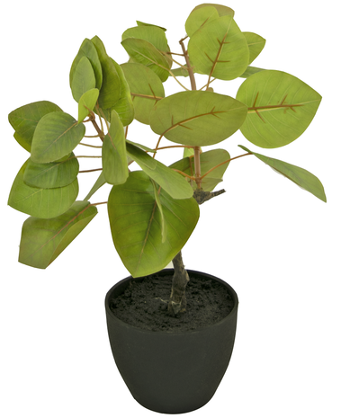 Greenmoods Kunstig Tropica Ficus 12 cm