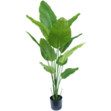 Greenmoods Kunstig Strelitzia Real Touch 150cm