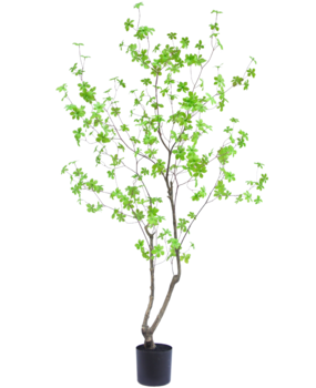 Greenmoods Kunstig Enkianthus Løvtre 180cm Greenmoods Kunstig Enkianthus Løvtre 180cm