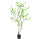Greenmoods Kunstig Enkianthus Løvtre 180cm