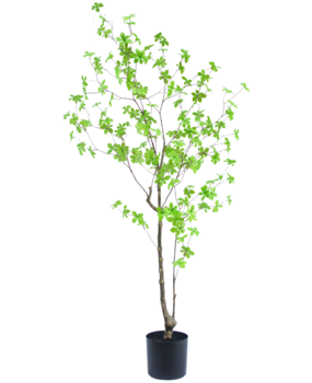 Greenmoods Kunstig Enkianthus Løvtre 150cm