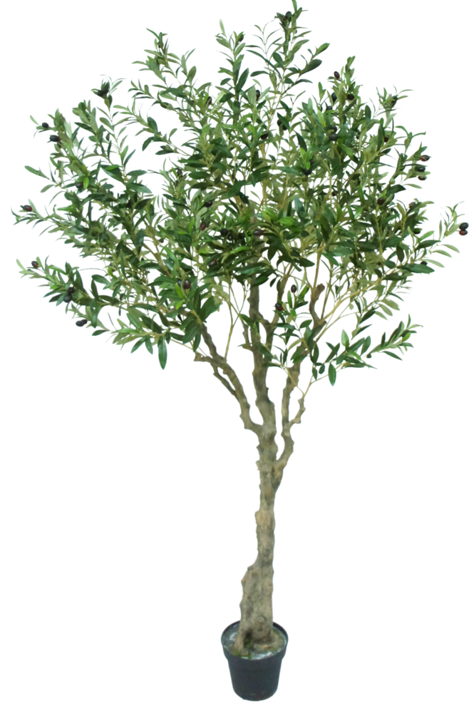Greenmoods Kunstig Oliventre 200cm