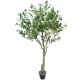 Greenmoods Kunstig Oliventre 200cm Greenmoods Kunstig Oliventre 200cm