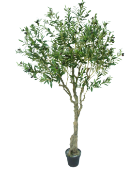 Greenmoods Kunstig Oliventre 200cm