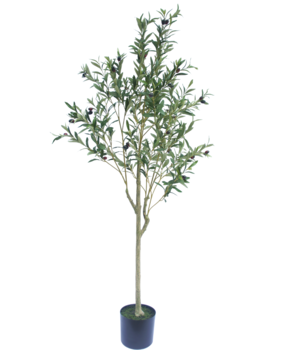Greenmoods Kunstig Oliventre 150cm