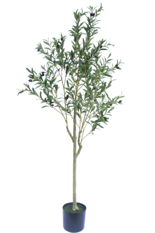 Greenmoods Kunstig Oliventre 150cm