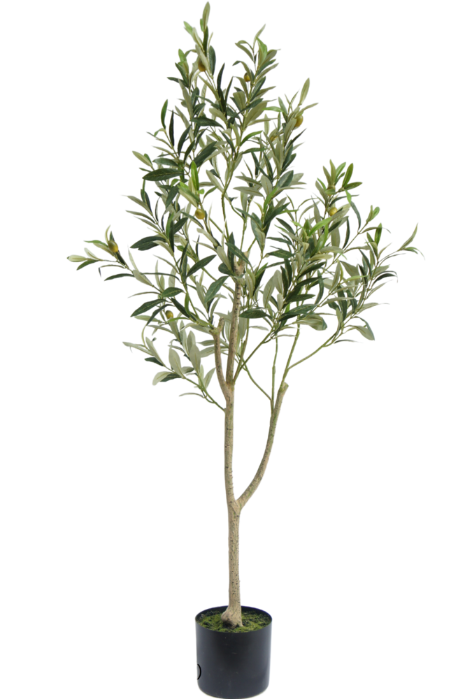 Greenmoods Kunstig Oliventre 120cm