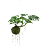 Greenmoods Kunstig hengende plante Monstera Deluxe 60 cm Greenmoods Kunstig hengende plante Monstera Deluxe 60 cm