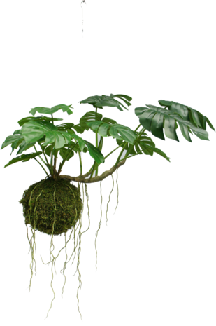 Greenmoods Kunstig hengende plante Monstera Deluxe 60 cm