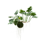 Greenmoods Kunstig hengende plante Monstera Deluxe 80 cm Greenmoods Kunstig hengende plante Monstera Deluxe 80 cm