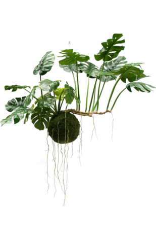 Greenmoods Kunstig hengende plante Monstera Deluxe 80 cm