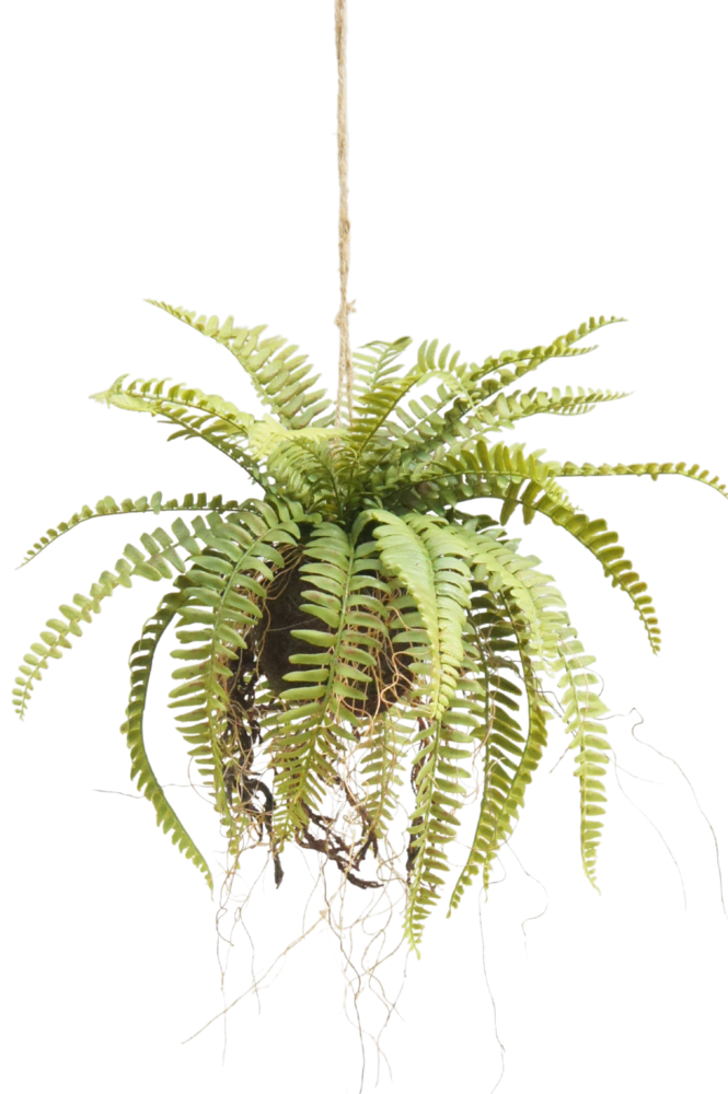 Greenmoods Kunstig hengende plante Bregne på kule 76 cm