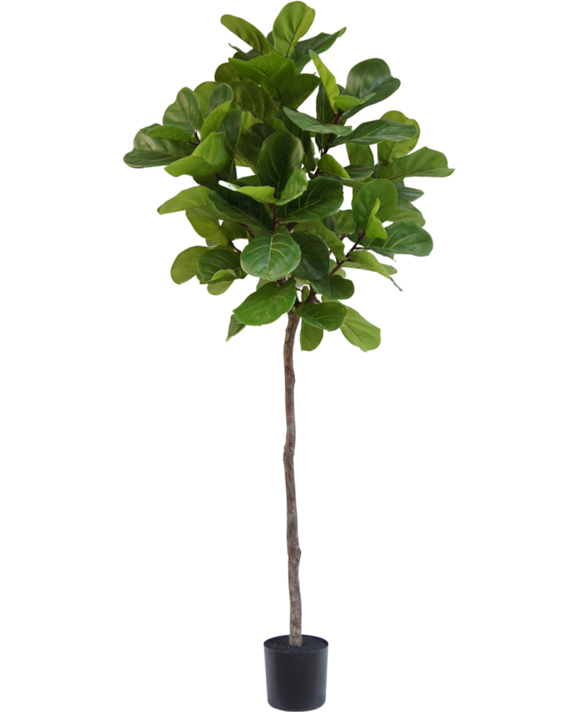 Greenmoods Kunstige Fiolin fiken 210cm