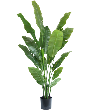 Greenmoods Kunstig Strelitzia Nicolai Deluxe 180cm