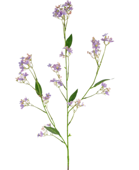 Greenmoods Kunstig Daphne Tysbast Lilla 108cm Greenmoods Kunstig Daphne Tysbast Lilla 108cm