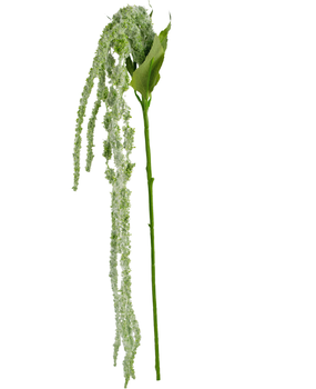 Greenmoods Kunstig blomst Amaranthus 122 cm grønn