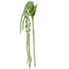 Greenmoods Kunstig blomst Amaranthus 122 cm grønn