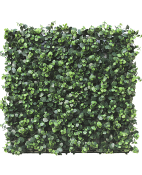 Greenmoods Kunstig Plantevegg Eukalyptus 50x50 cm UV