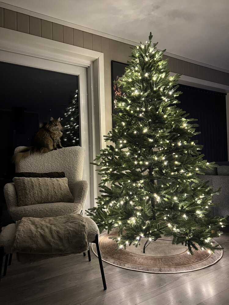 Kunstig Juletre Vigeland 210cm 700-LED-Lys Kunstig Juletre Vigeland 210cm 700-LED-Lys