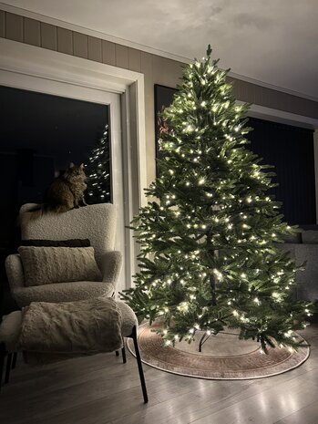 Kunstig Juletre Vigeland 210cm 700-LED-Lys Kunstig Juletre Vigeland 210cm 700-LED-Lys
