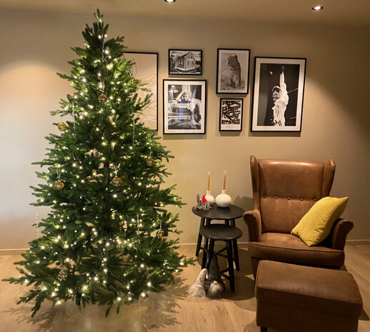 Kunstig Juletre Vigeland 210cm 700-LED-Lys Kunstig Juletre Vigeland 210cm 700-LED-Lys