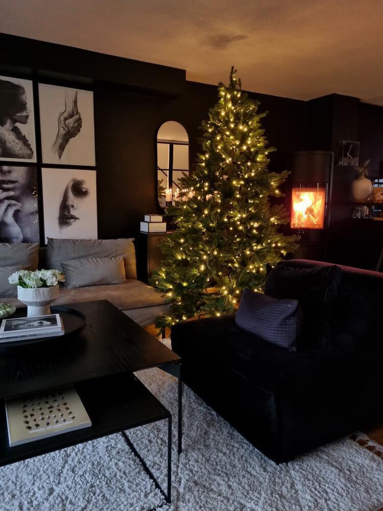 Kunstig Juletre Tidemand 210cm 600-LED-Lys Kunstig Juletre Tidemand 210cm 600-LED-Lys