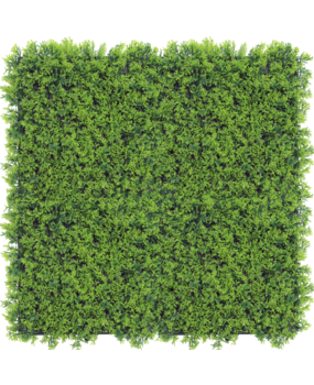 Greenmoods Kunstig Sypress Plantevegg 50x50cm UV Greenmoods Kunstig Sypress Plantevegg 50x50cm UV