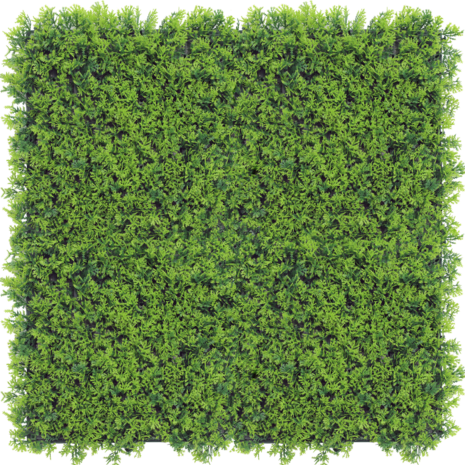 Greenmoods Kunstig Sypress Plantevegg 50x50cm UV Greenmoods Kunstig Sypress Plantevegg 50x50cm UV