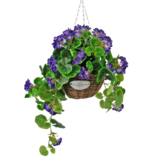Greenmoods Kunstig Begonia Lilla i Kurv UV 70cm