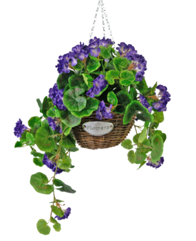 Greenmoods Kunstig Begonia Lilla i Kurv UV 70cm Greenmoods Kunstig Begonia Lilla i Kurv UV 70cm
