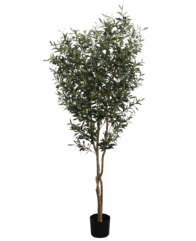 Greenmoods Kunstig Oliventre UV 180 cm