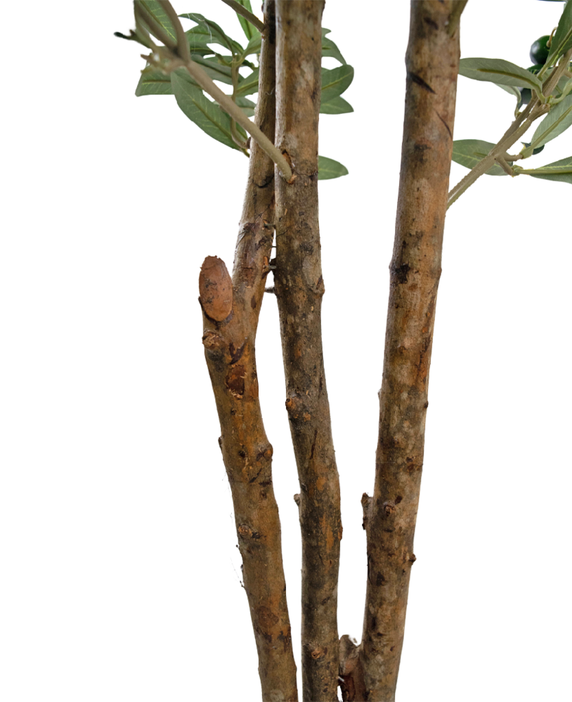 Greenmoods Kunstig Oliventre UV 180 cm Greenmoods Kunstig Oliventre UV 180 cm