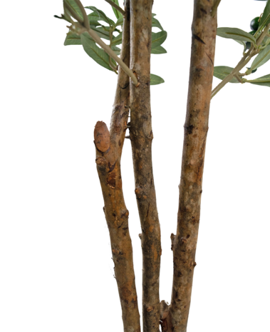 Greenmoods Kunstig Oliventre UV 180 cm Greenmoods Kunstig Oliventre UV 180 cm