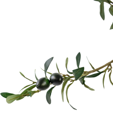 Greenmoods Kunstig Oliventre UV 180 cm Greenmoods Kunstig Oliventre UV 180 cm