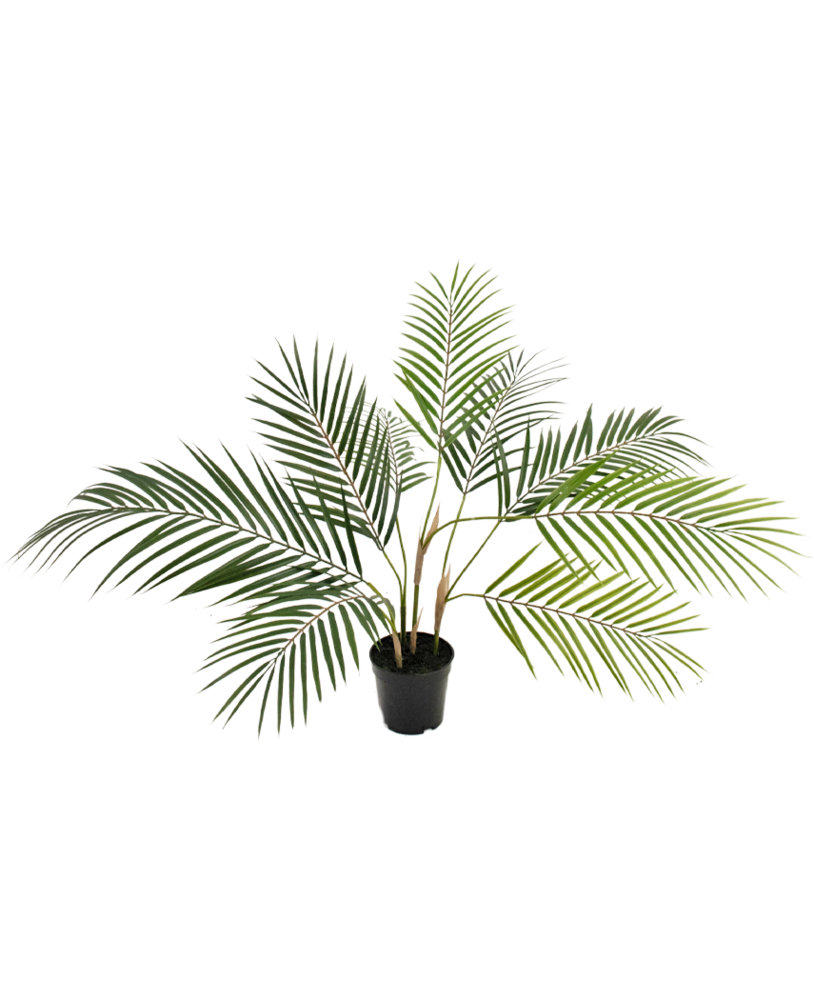 Greenmoods Kunstig palme Chamaedorea 48 cm