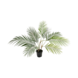 Greenmoods Kunstig palme Chamaedorea 48 cm