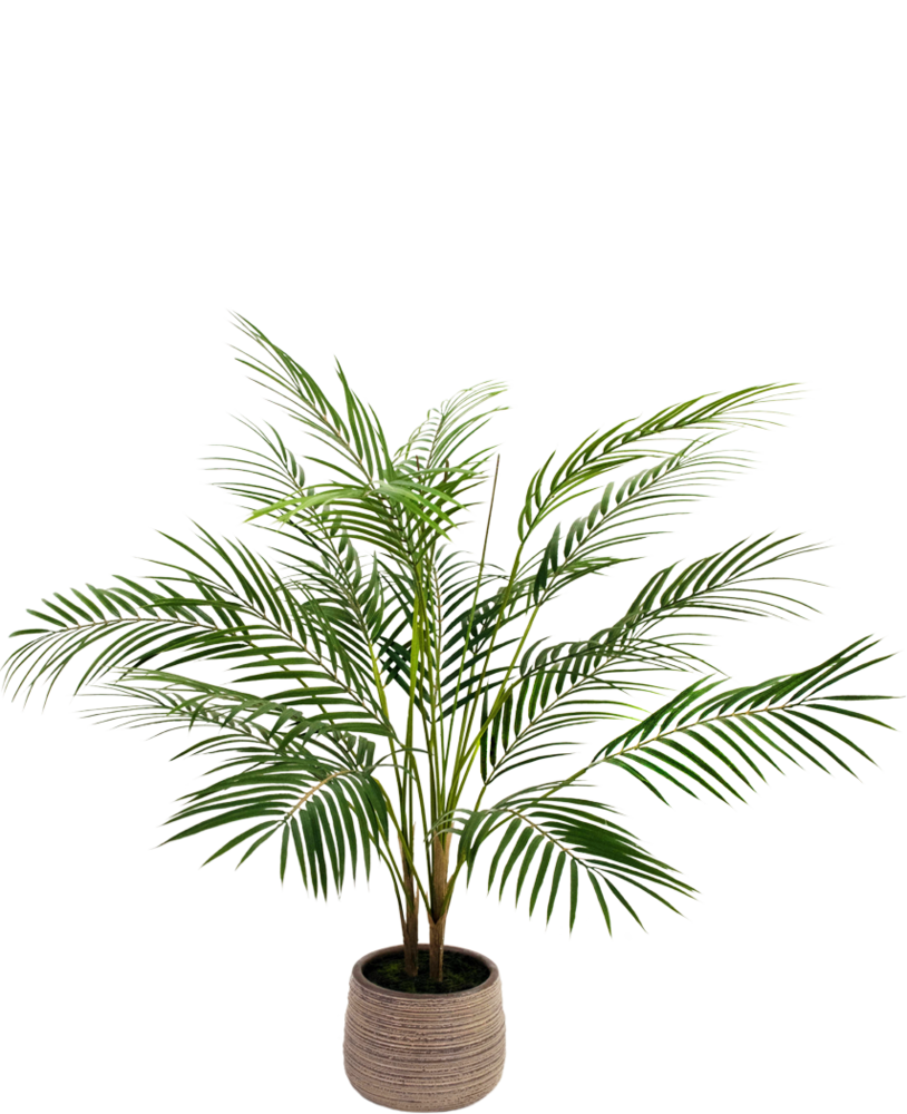 Greenmoods Kunstig palme Chamaedorea 83 cm