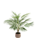 Greenmoods Kunstig palme Chamaedorea 83 cm