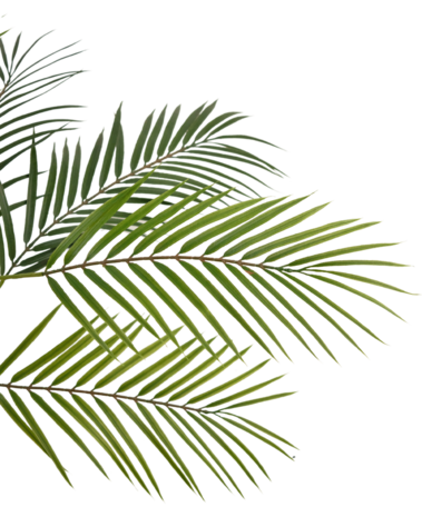 Greenmoods Kunstig palme Chamaedorea 83 cm