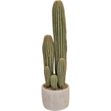 Greenmoods Kunstig Kaktus San Pedro 59cm