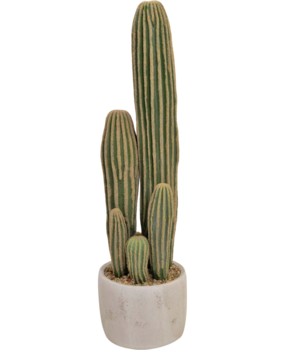 Greenmoods Kunstig Kaktus San Pedro 59cm