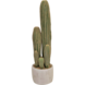 Greenmoods Kunstig Kaktus San Pedro 59cm