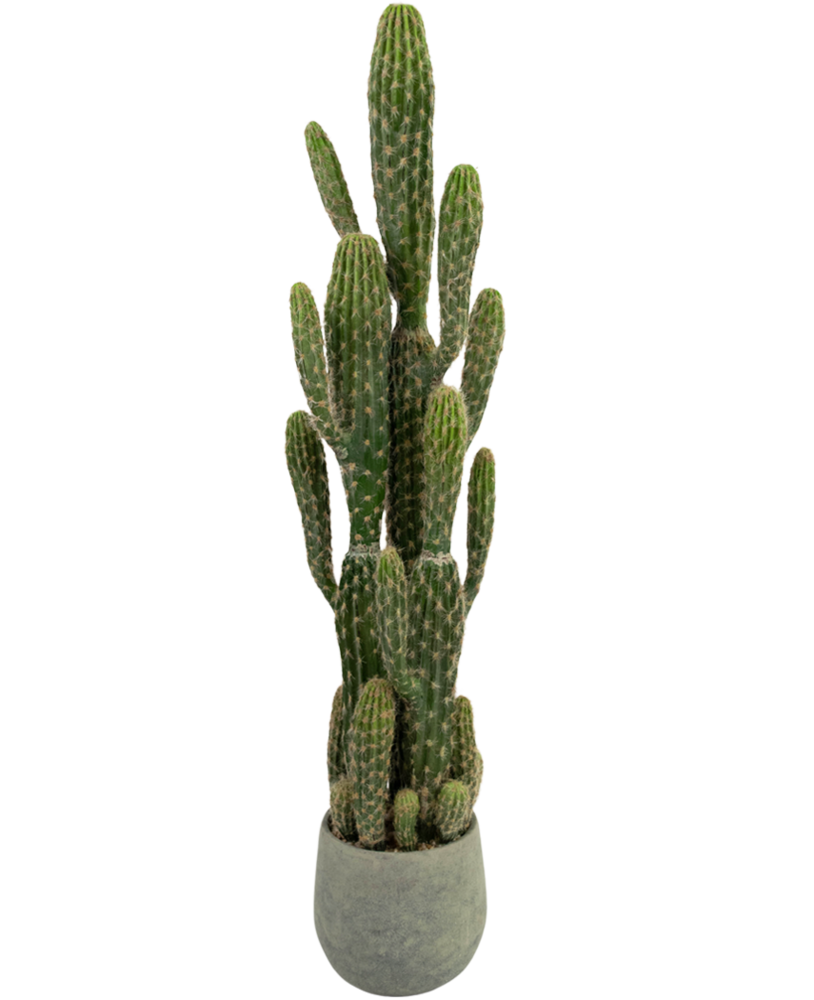 Greenmoods Kunstig Kaktus "Euphorbia" 100 cm